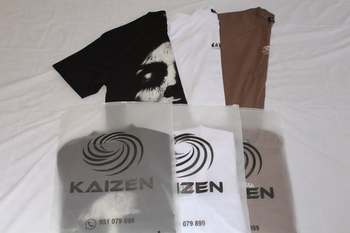 PACK KAIZEN 3X129